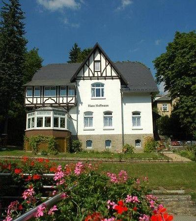 Ferienwohnung In Villa Bad Elster Ngoại thất bức ảnh