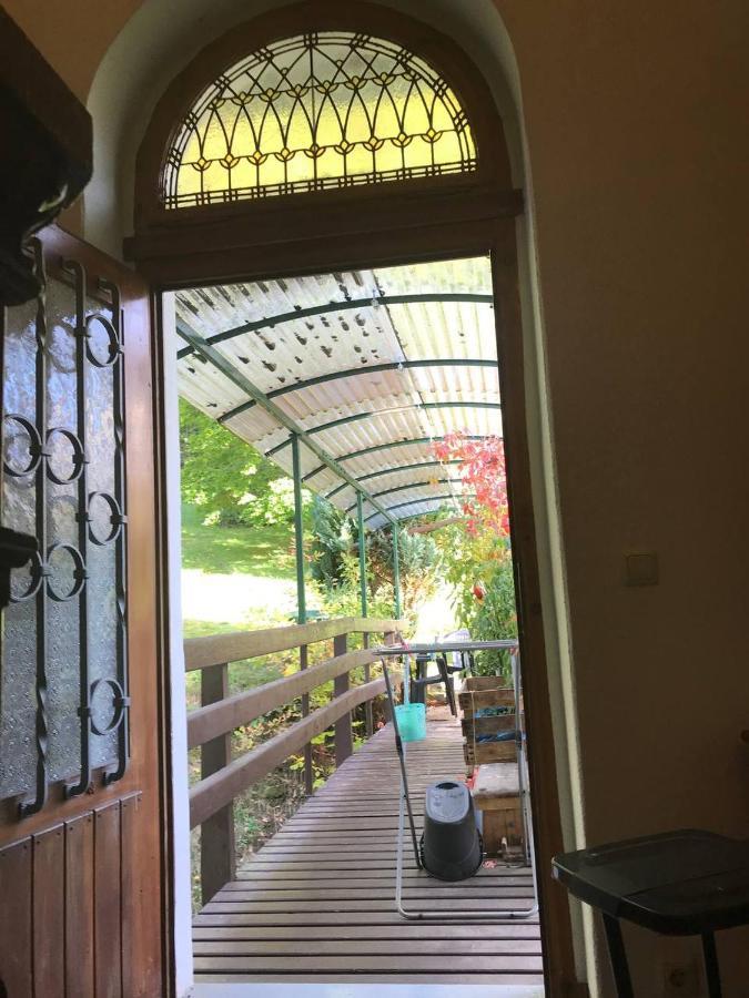 Ferienwohnung In Villa Bad Elster Ngoại thất bức ảnh